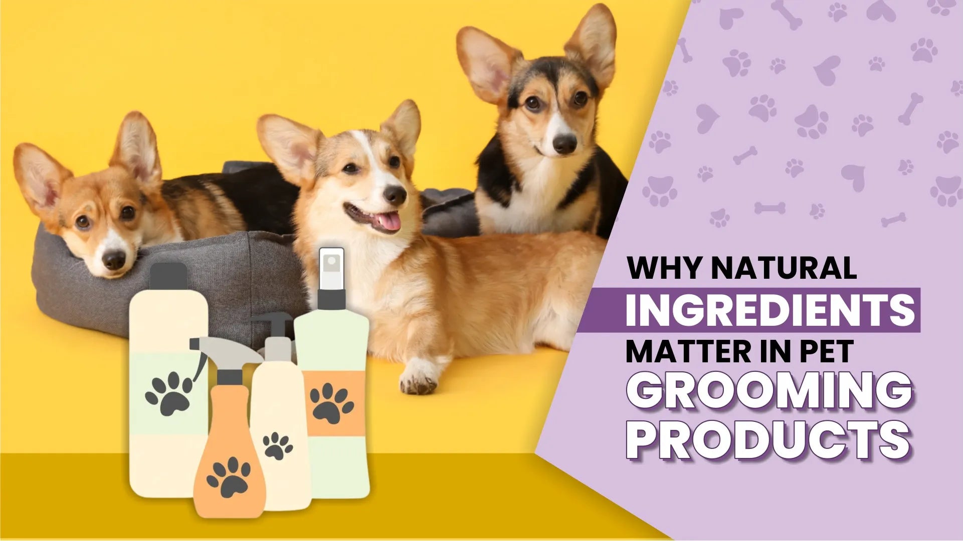 Why Natural Ingredients Matter in Pet Grooming Products