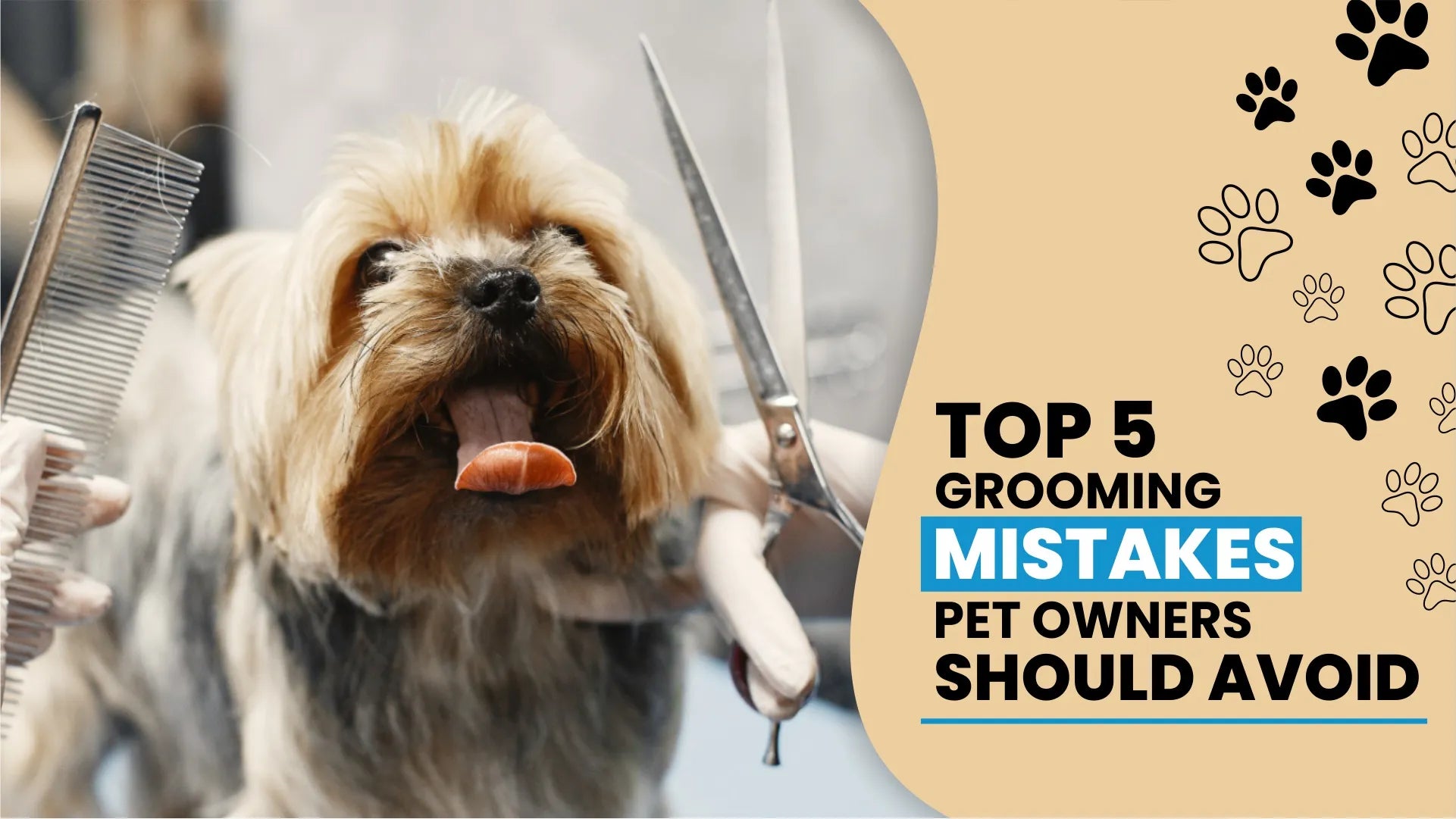 Top 5 Grooming Mistakes Pet Owners Should Avoid – GroomMyPet Top 5 Grooming Mistakes Pet Owners Should Avoid – GroomMyPet