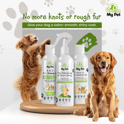 Anti-Tangle Shine Coat Kit