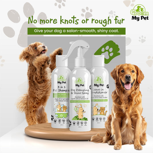 Anti-Tangle Shine Coat Kit