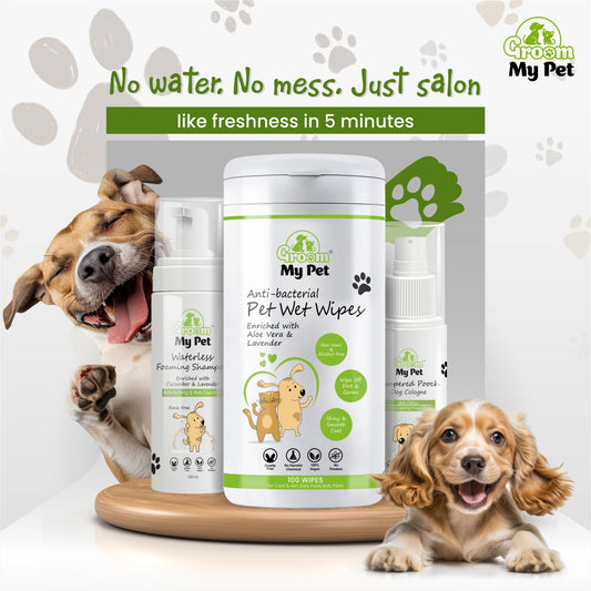 Instant Fresh Waterless Kit