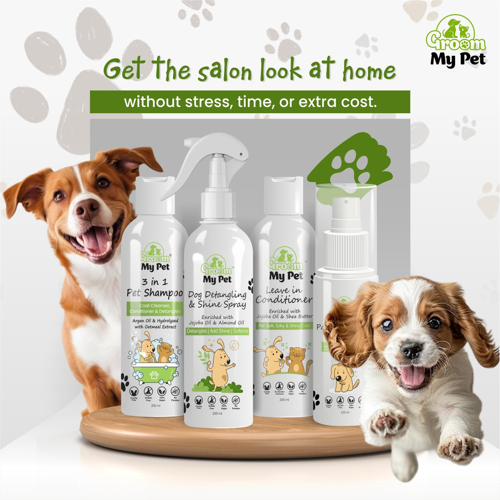 Salon Shine At Home Kit