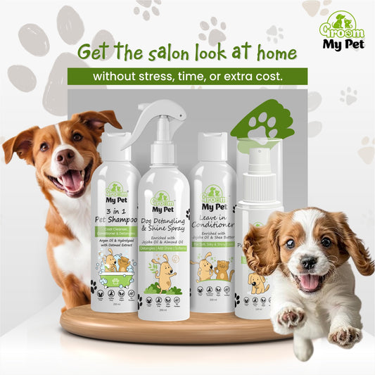 Salon Shine At Home Kit