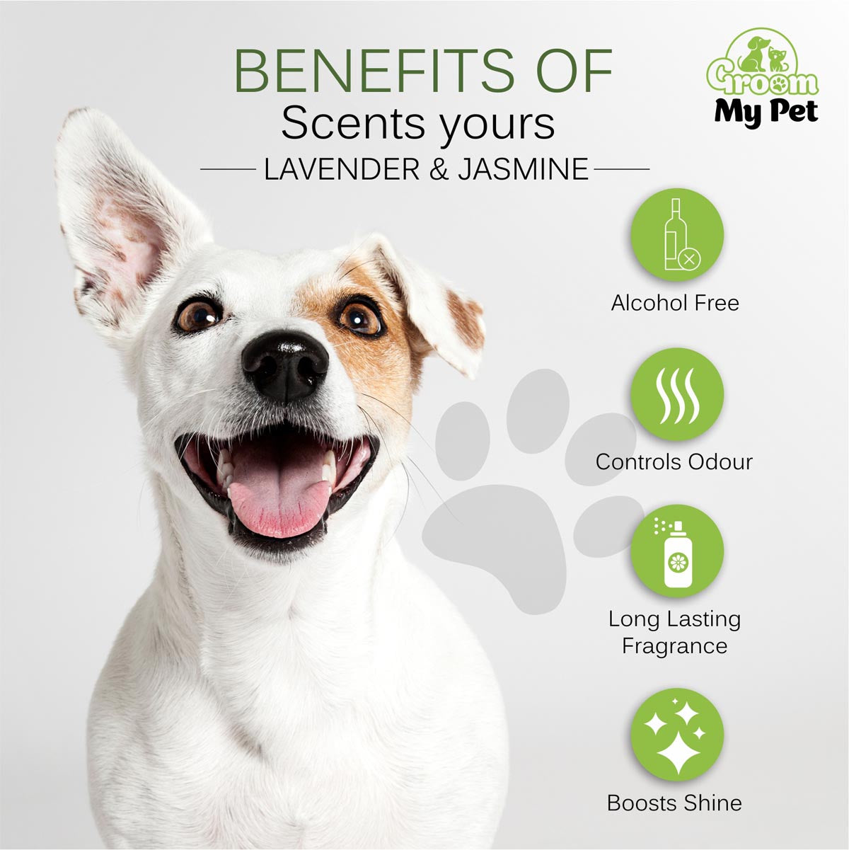 Pampered Pooch Cologne - Lavender & Jasmine - 120 ml