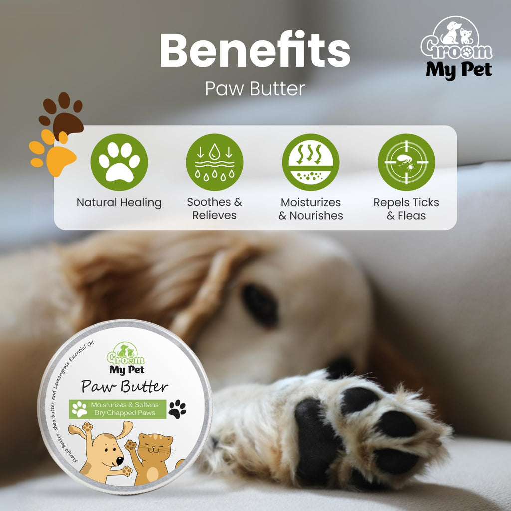 Pet Paw Butter - 100g + Leave-in Conditioner Combo - 200 ml