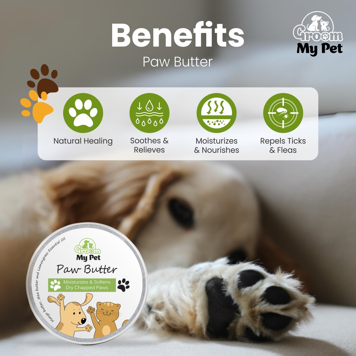 Pet Paw Butter - 100g + Leave-in Conditioner Combo - 200 ml