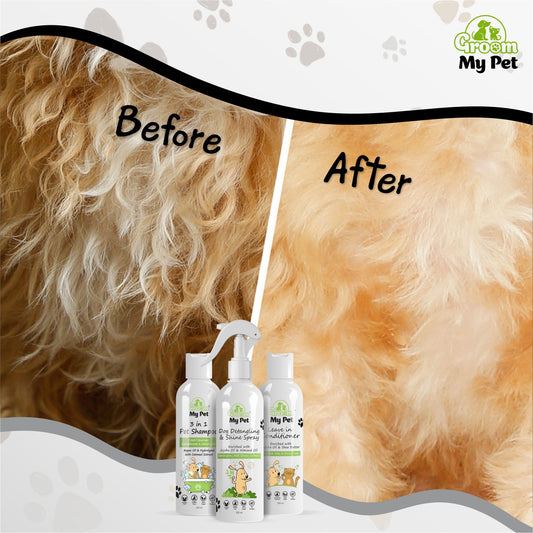 Anti-Tangle Shine Coat Kit