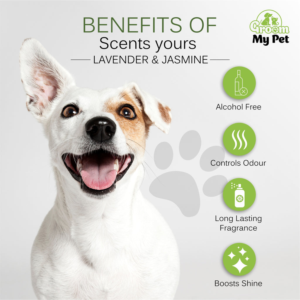 The Ultimate Grooming Combo