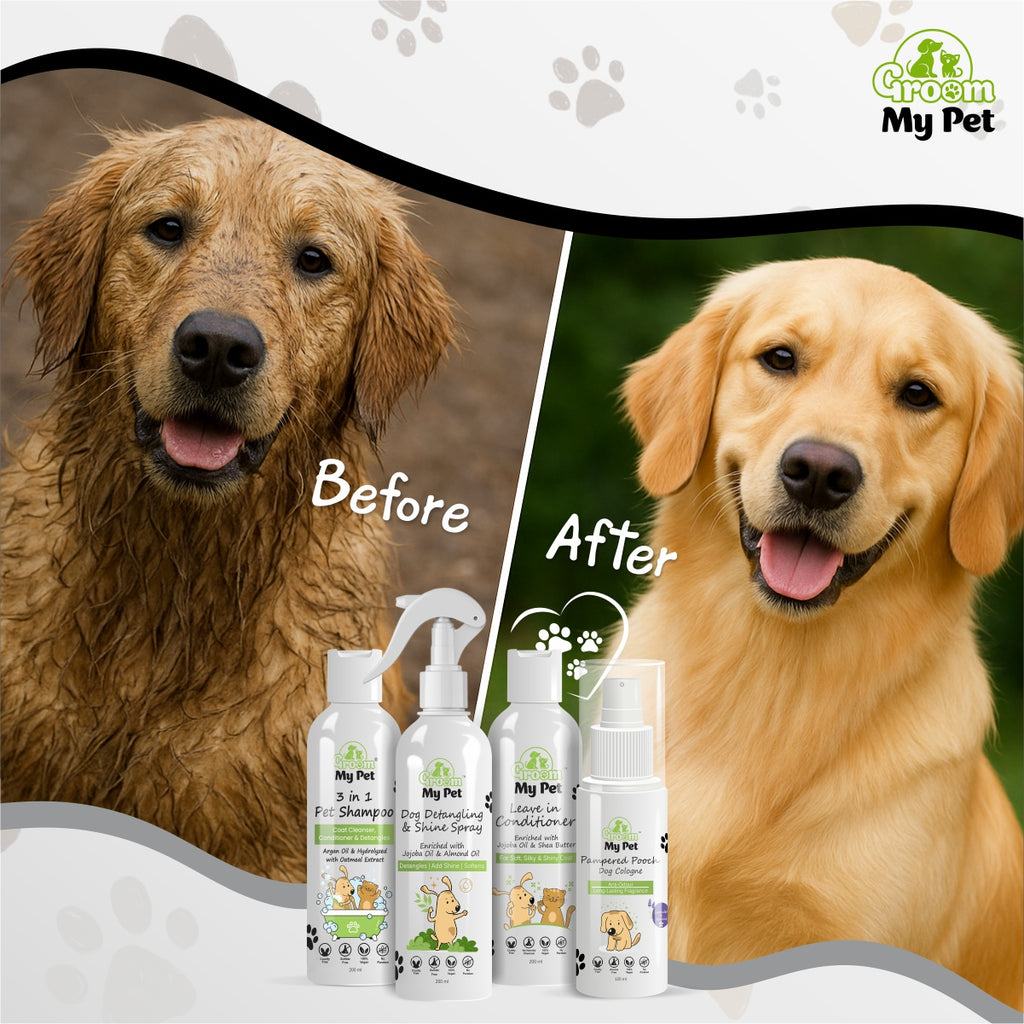 Salon Shine At Home Kit