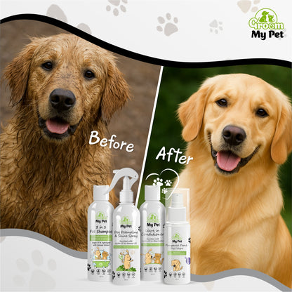 Salon Shine At Home Kit