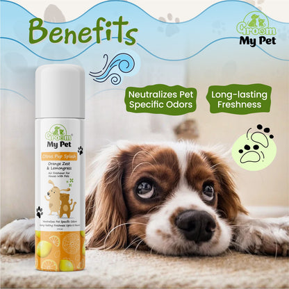 Citrus Pup Splash Air Freshener (Orange Zest & Lemongrass) - 275 ml