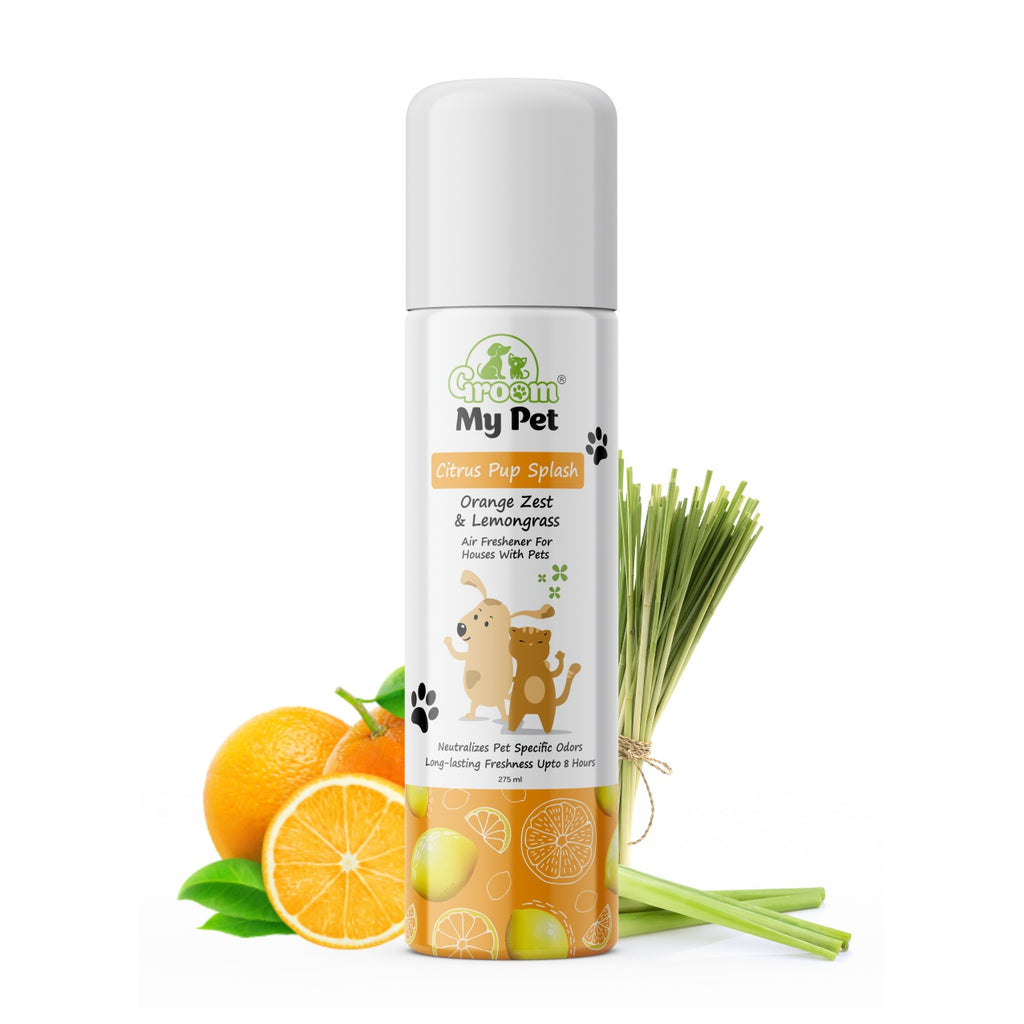 Citrus Pup Splash Air Freshener (Orange Zest & Lemongrass) - 275 ml