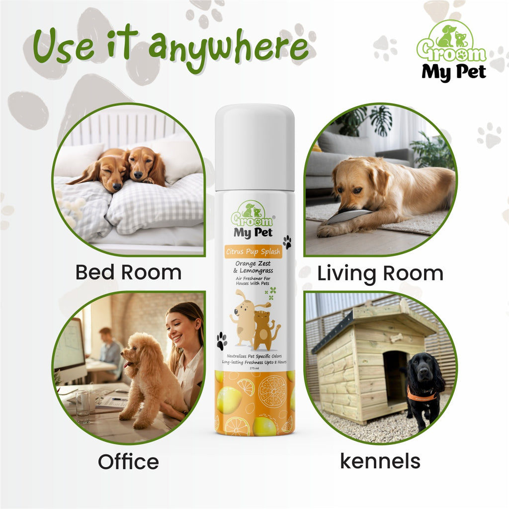 Citrus Pup Splash Air Freshener (Orange Zest & Lemongrass) - 275 ml