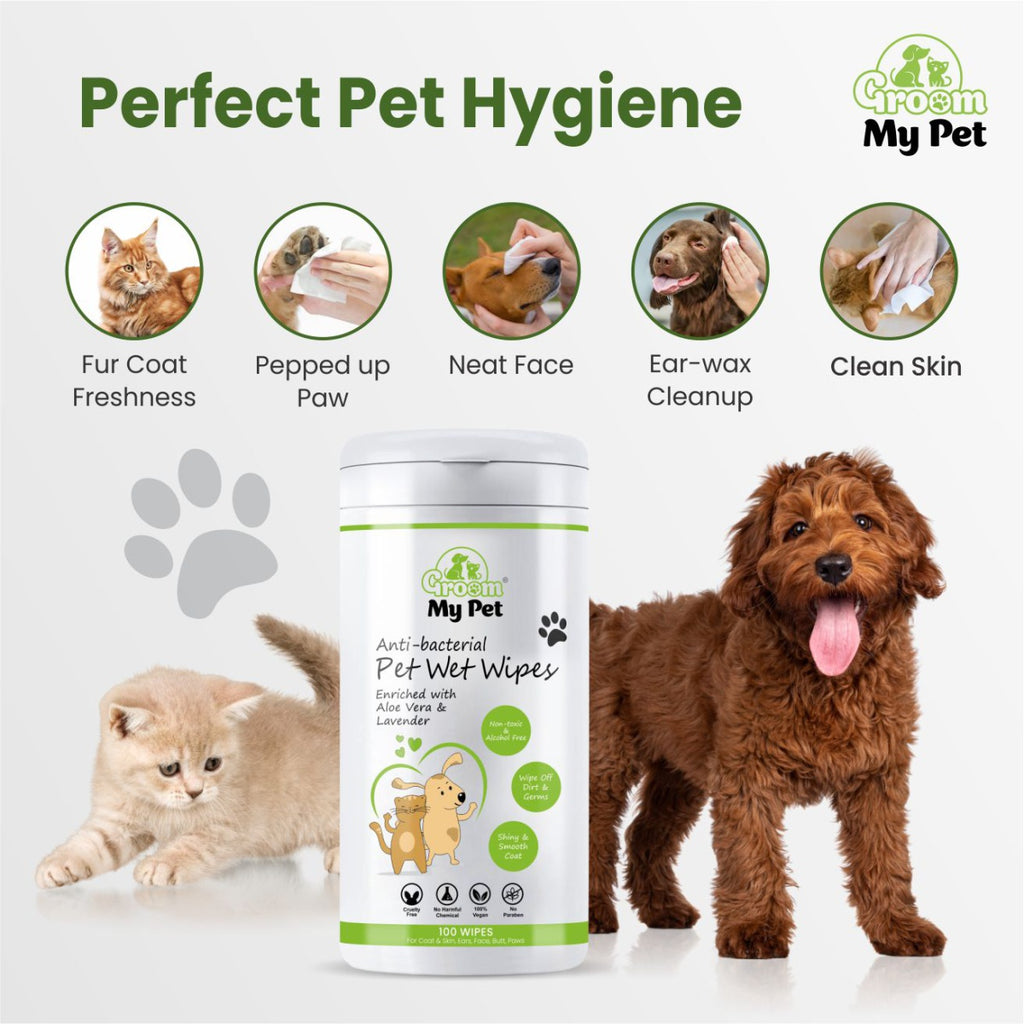 Anti-Bacterial Pet Wet Wipes - 100 wipes