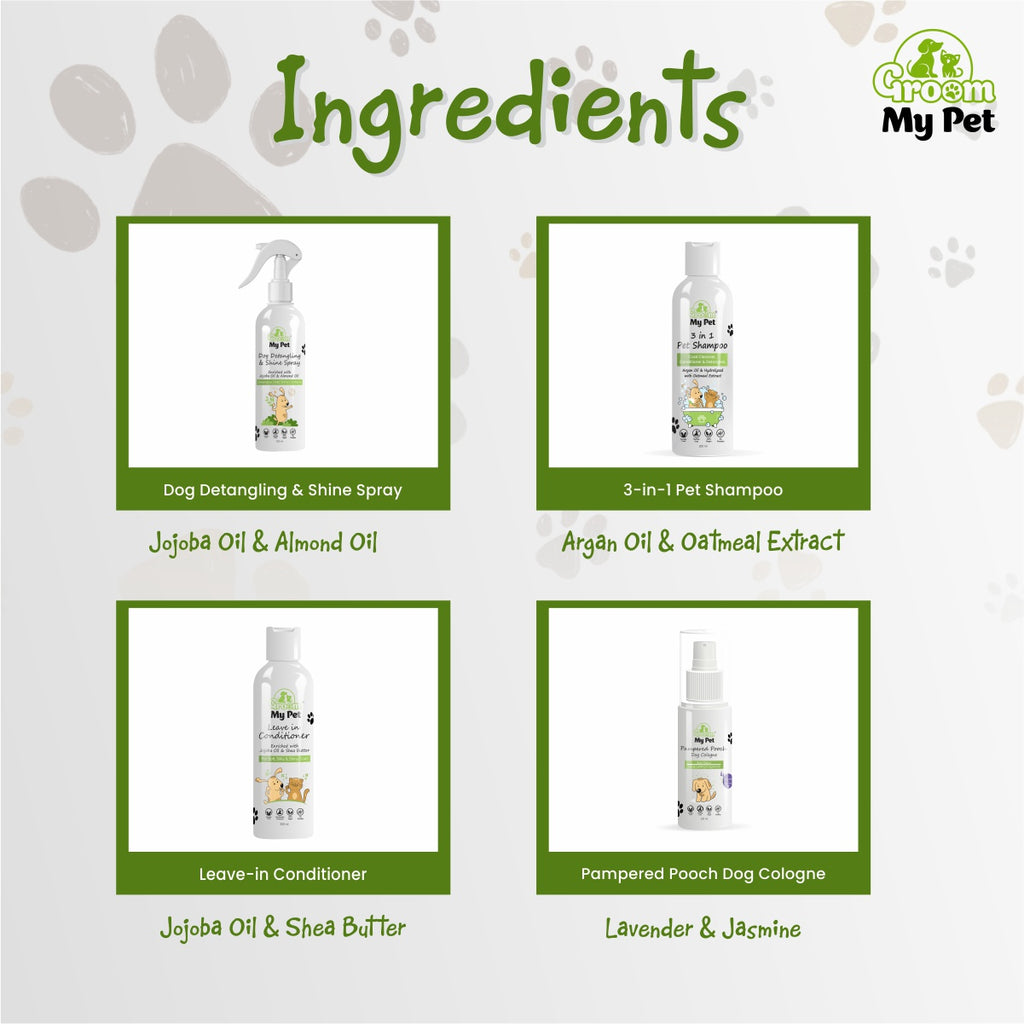 Salon Shine At Home Kit