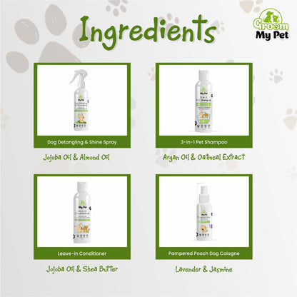 Salon Shine At Home Kit