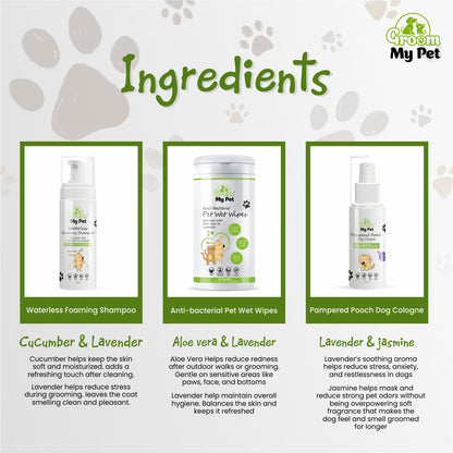 Instant Fresh Waterless Kit