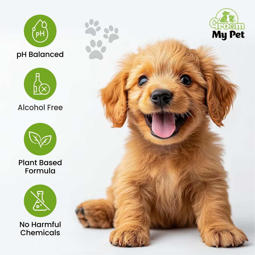 Tick & Flea Shampoo-200ml