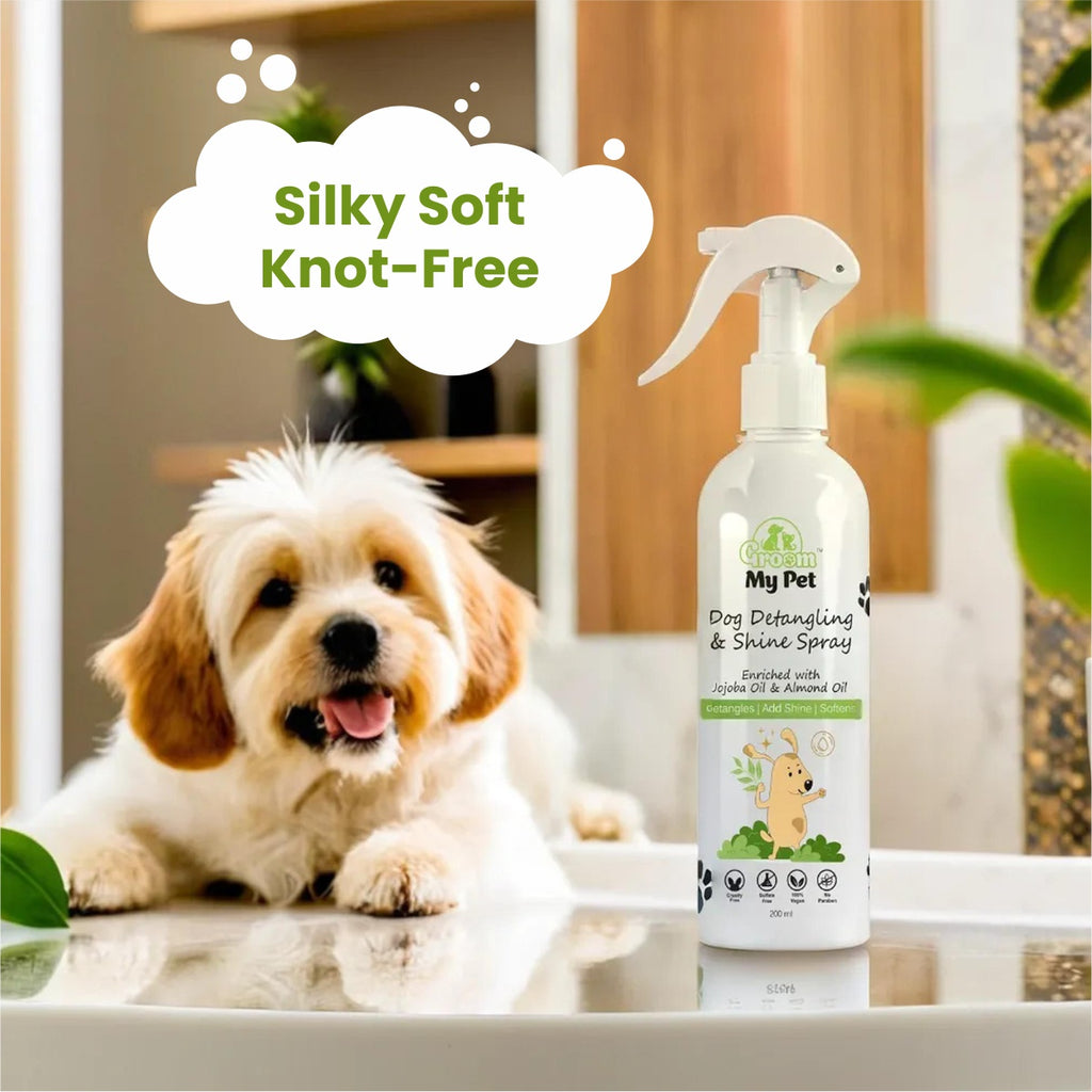 Dog Detangling & Shine Spray - 200 ml