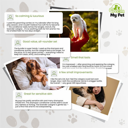 Anti-Itch Comfort Coat Kit