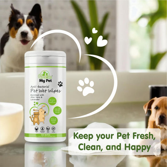 Anti-Bacterial Pet Wet Wipes - 100 wipes