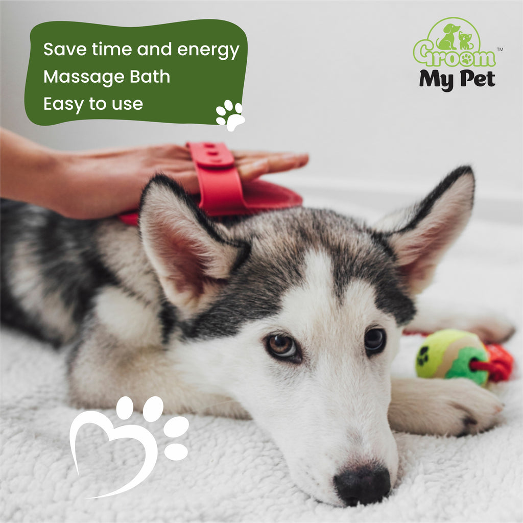 Bathing & Grooming Hand Brush