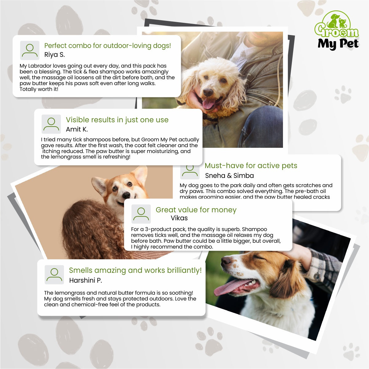 Tick & Flea Shield Kit