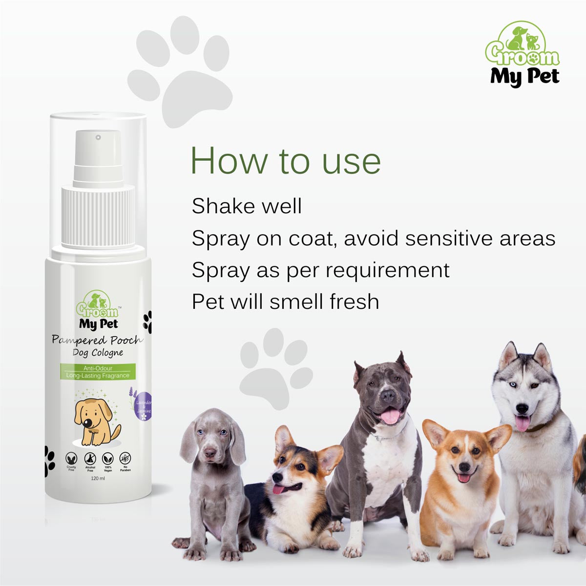 Pampered Pets Pams Grooming Pet Grooming Pampered Pets Web