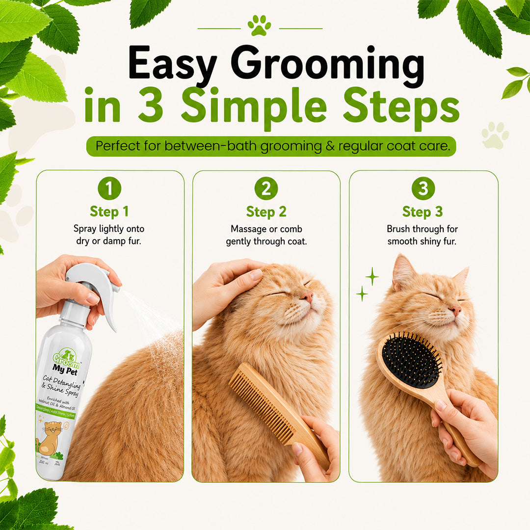 Cat Detangling & Shine Spray - 200 ml