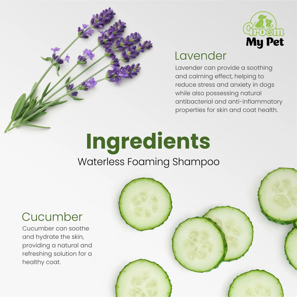 Waterless Foaming Shampoo - 150 ml