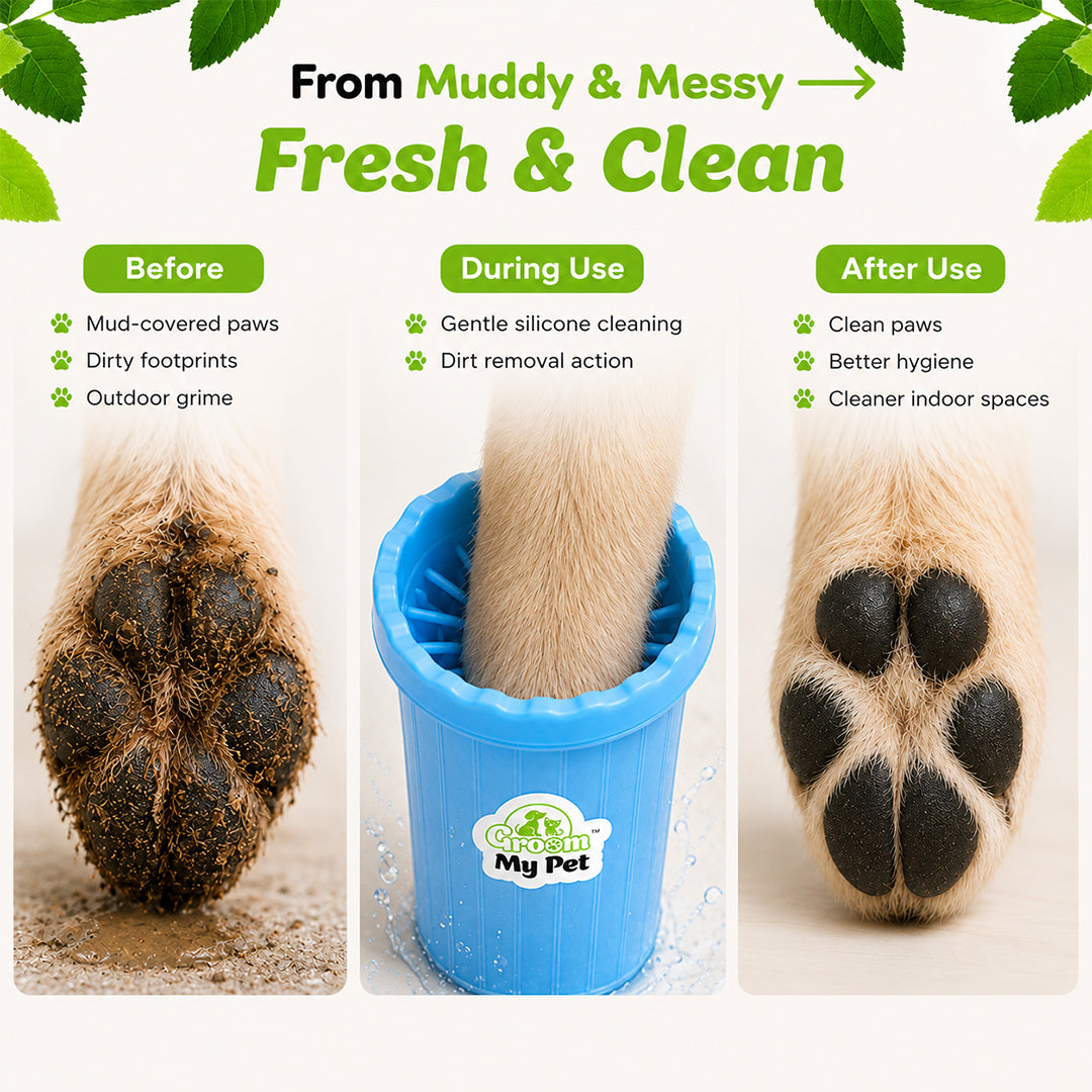 Dog Paw Cleaner (color may vary) big size