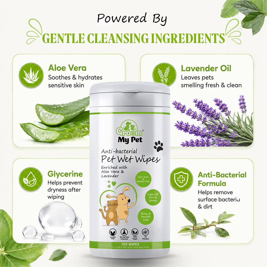 Anti-Bacterial Pet Wet Wipes - 100 wipes