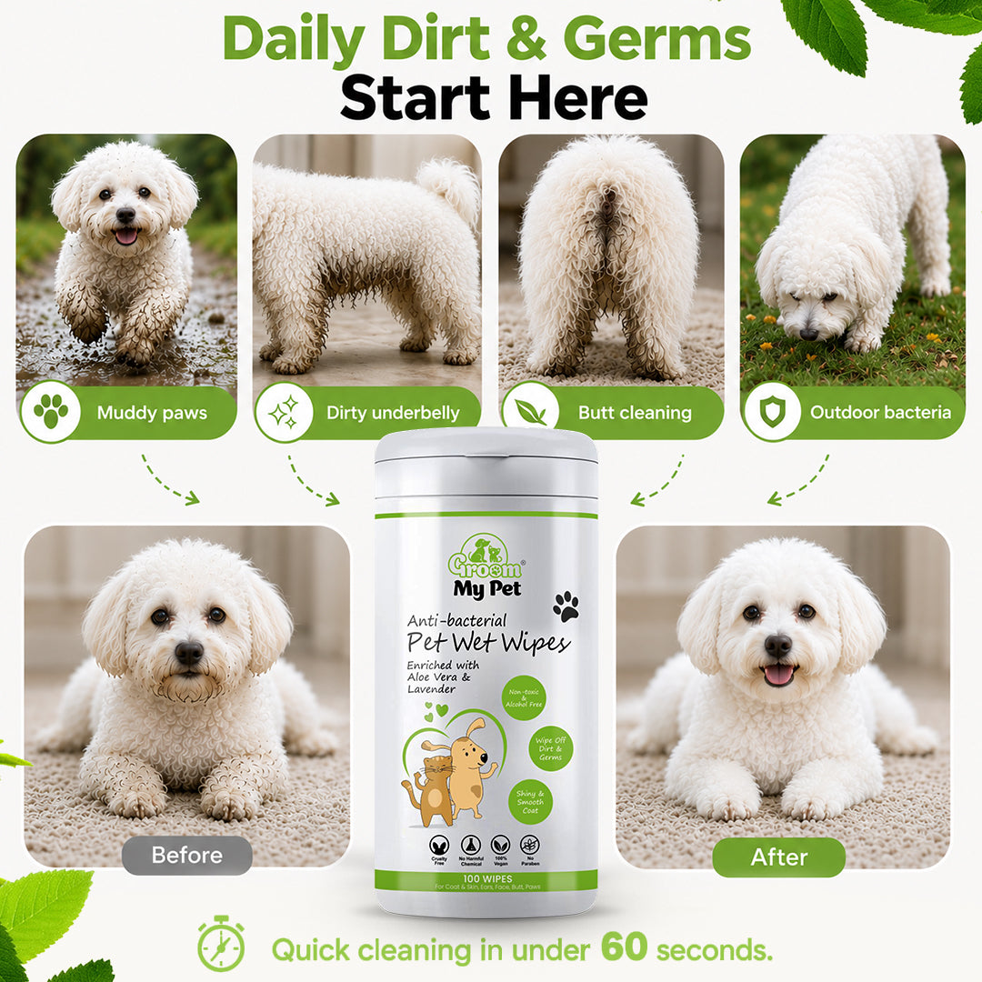 Anti-Bacterial Pet Wet Wipes - 100 wipes