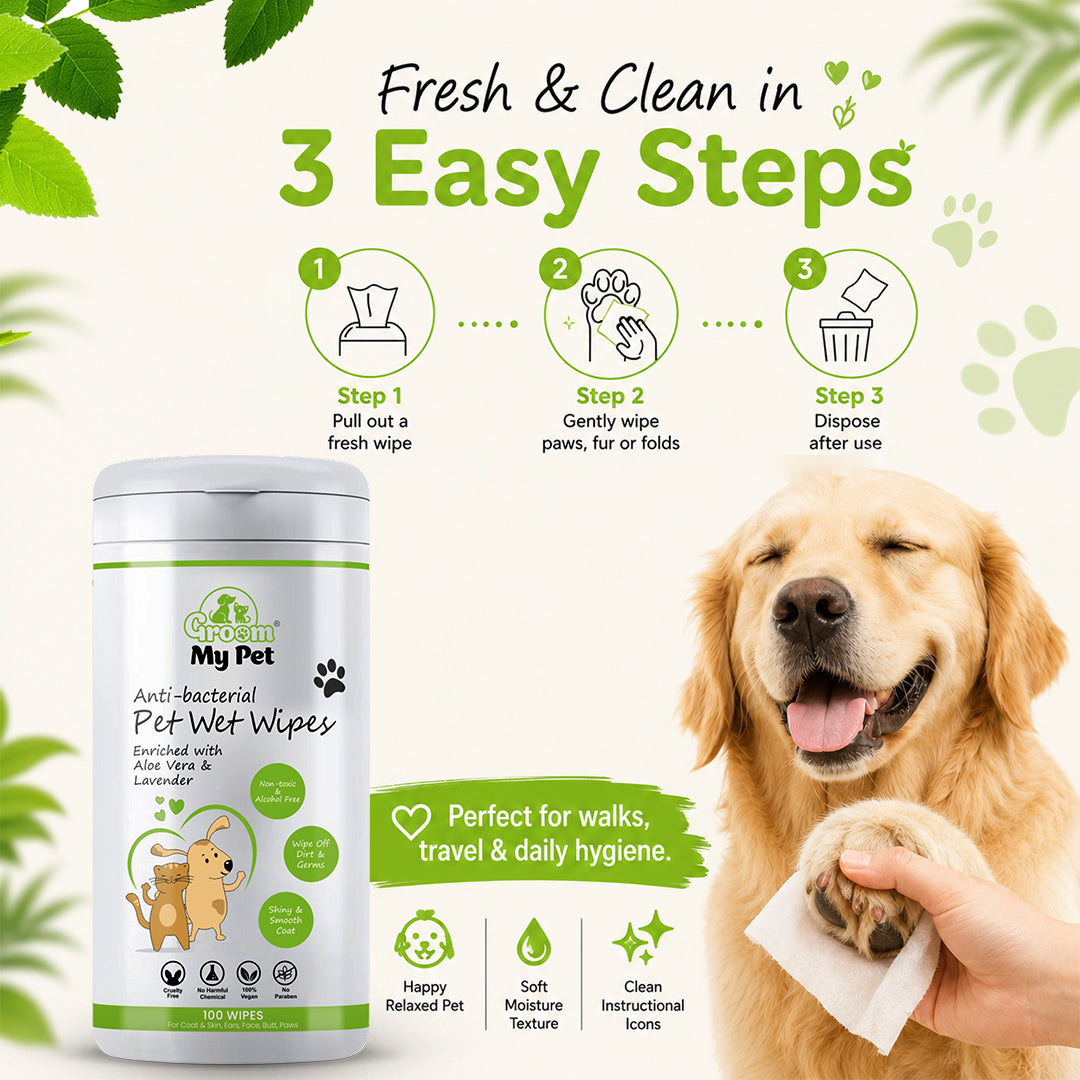 Anti-Bacterial Pet Wet Wipes - 100 wipes