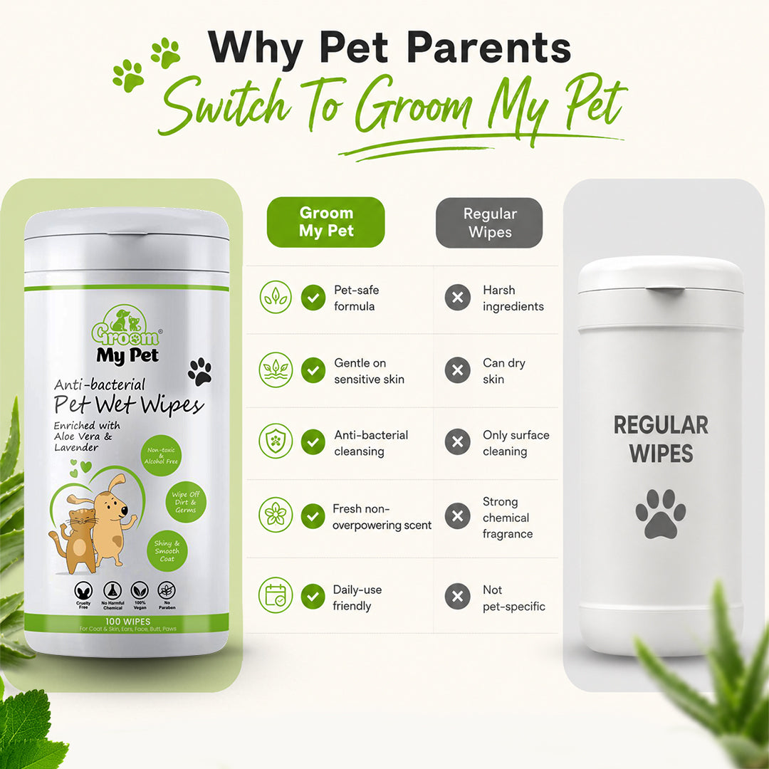 Anti-Bacterial Pet Wet Wipes - 100 wipes