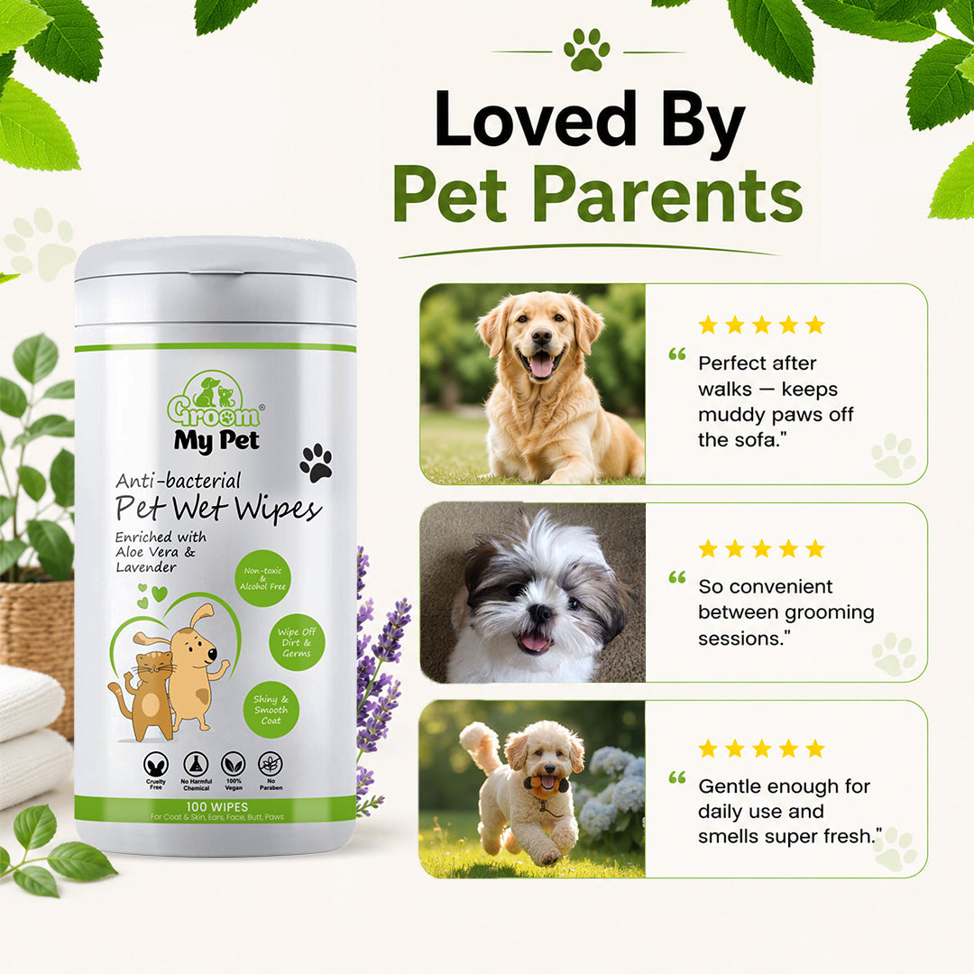 Anti-Bacterial Pet Wet Wipes - 100 wipes