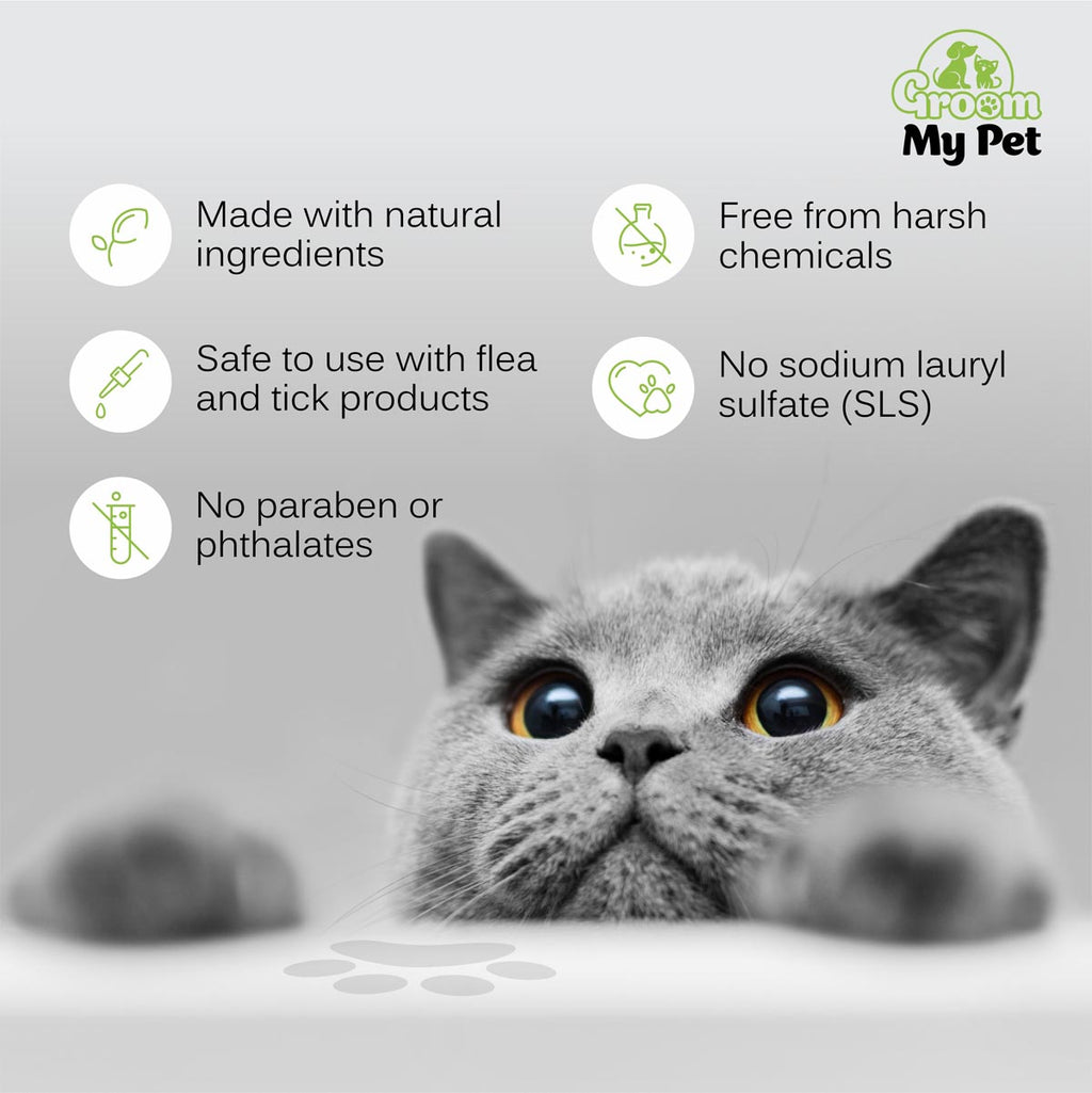 Cat Conditioning Shampoo- 200 ml