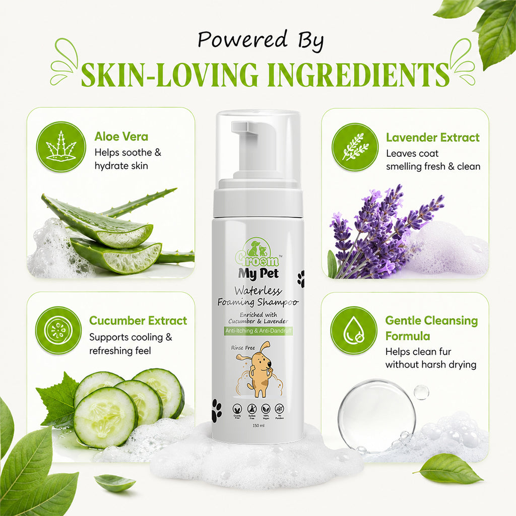 Waterless Foaming Shampoo - 150 ml