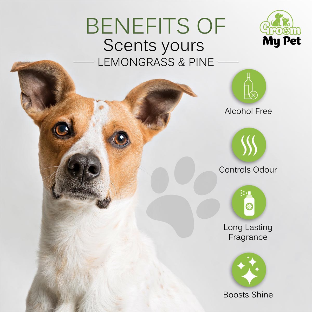 Pampered Pooch Cologne - Lemongrass & Pine - 120 ml