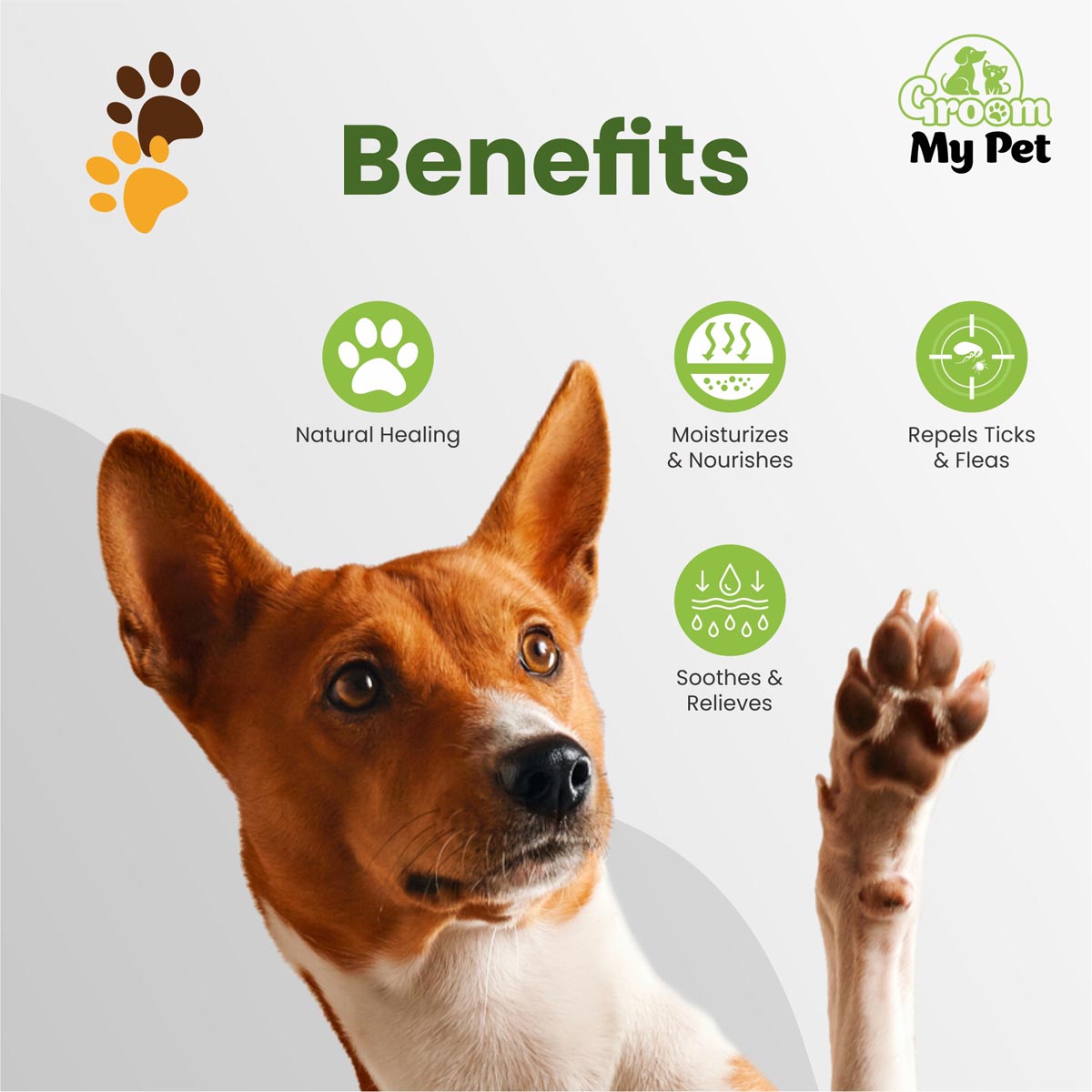 Pet Paw Butter - 100 gram