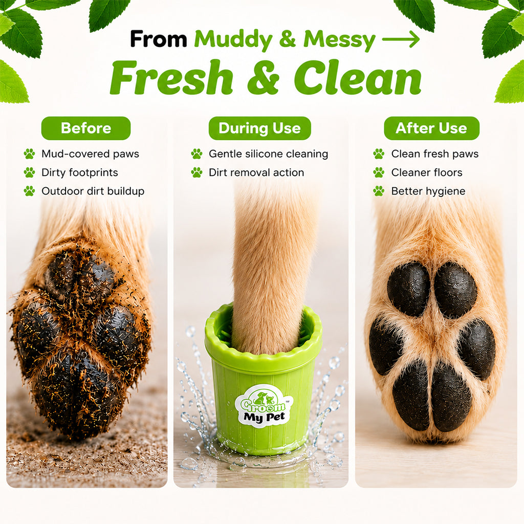 Dog Paw Cleaner (color may vary) medium size