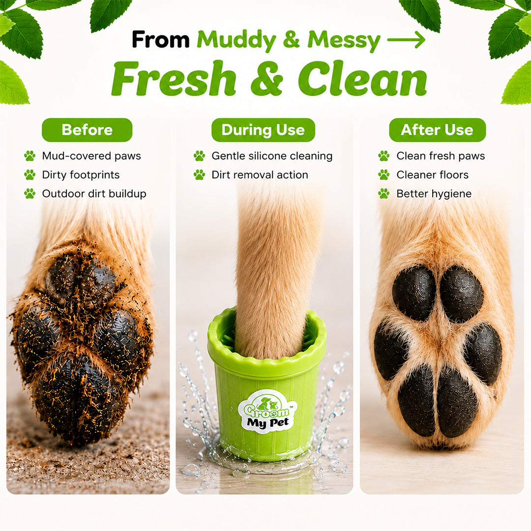 Dog Paw Cleaner (color may vary) medium size